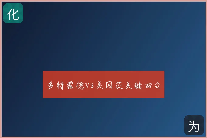 多特蒙德vs美因茨关键回合
